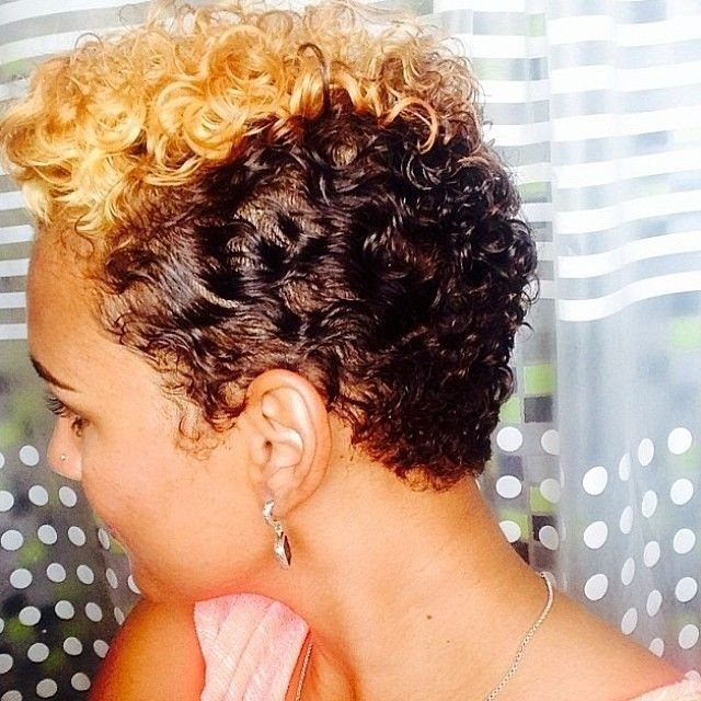 African American Natural Short Haircuts
 55 Winning Short Hairstyles for Black Women