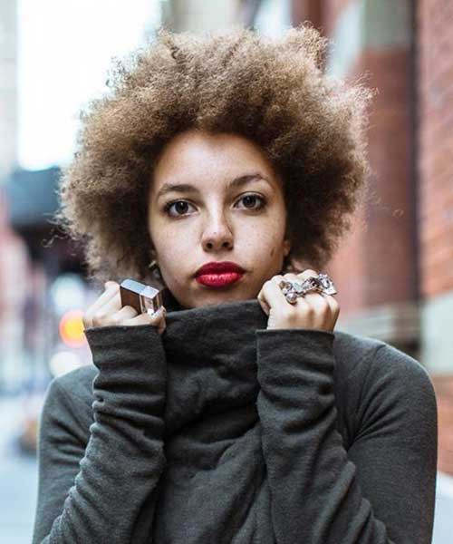 Afro Haircuts For Women
 20 Amazing Curly Short Hairstyles for All Smart Women