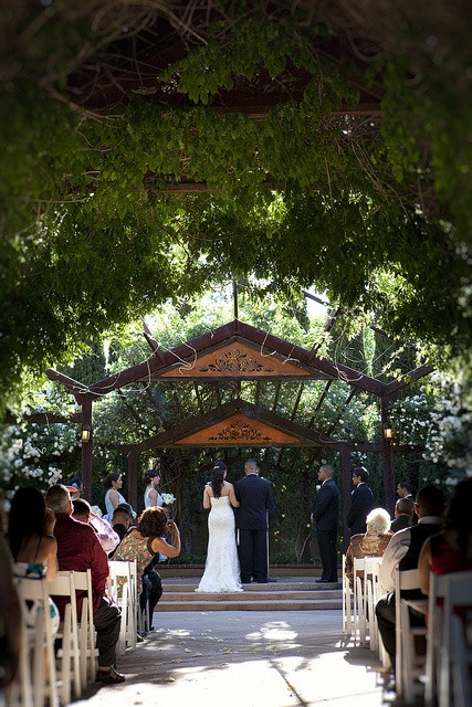 Albuquerque Wedding Venues
 26 best Albuquerque Botanical Gardens Wedding Venue images