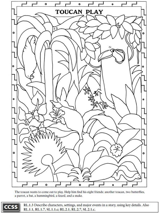 Amazon Coloring Books For Kids
 dover coloring pages tucans Pesquisa do Google