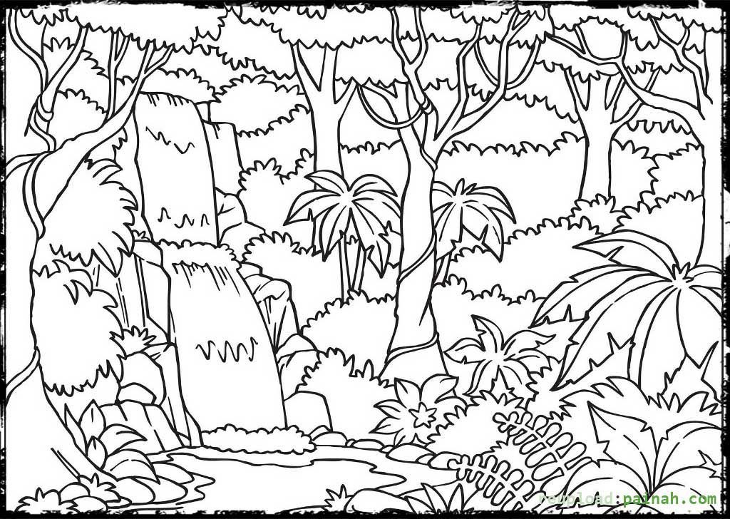 Amazon Coloring Books For Kids
 Rainforest Coloring Pages