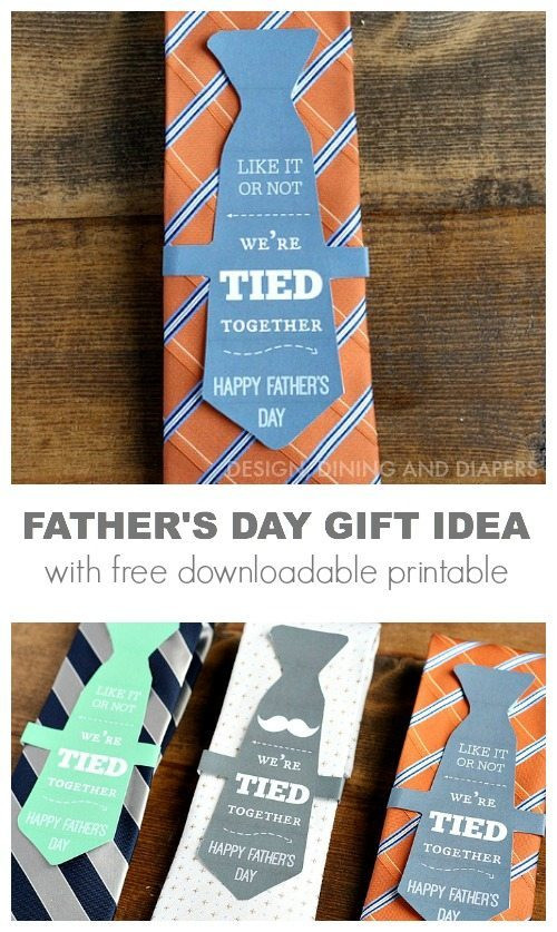 Amazon Fathers Day Gift Ideas
 16 Father s Day Gift Ideas
