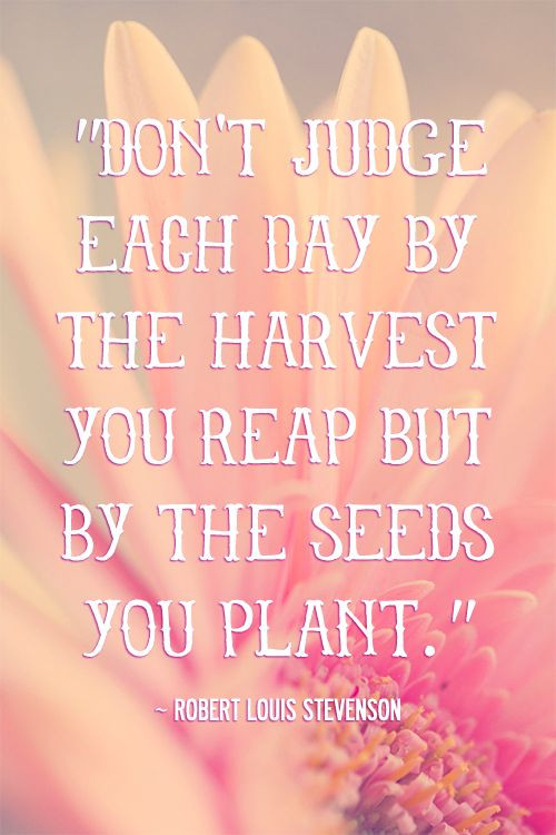An Inspirational Quote
 Inspirational Quotes About Harvest QuotesGram