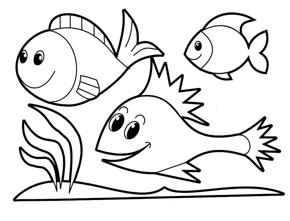 Animal Coloring Pages For Toddlers
 Animal Coloring Pages 13