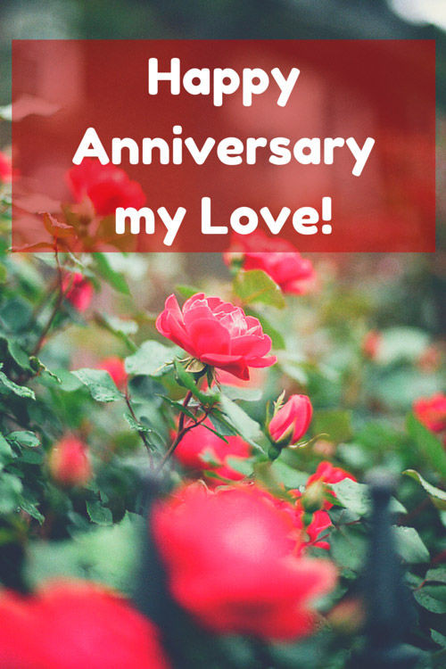 Anniversary Images And Quotes
 Happy Anniversary My Love s and for