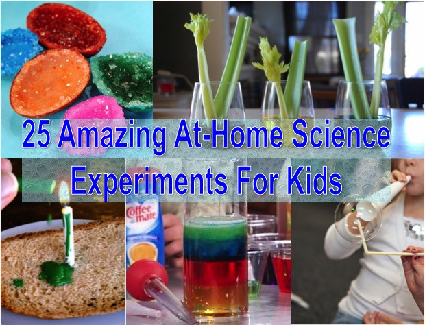 Arts And Crafts For Toddlers At Home
 25 Amazing At Home Science Experiments For Kids Find Fun