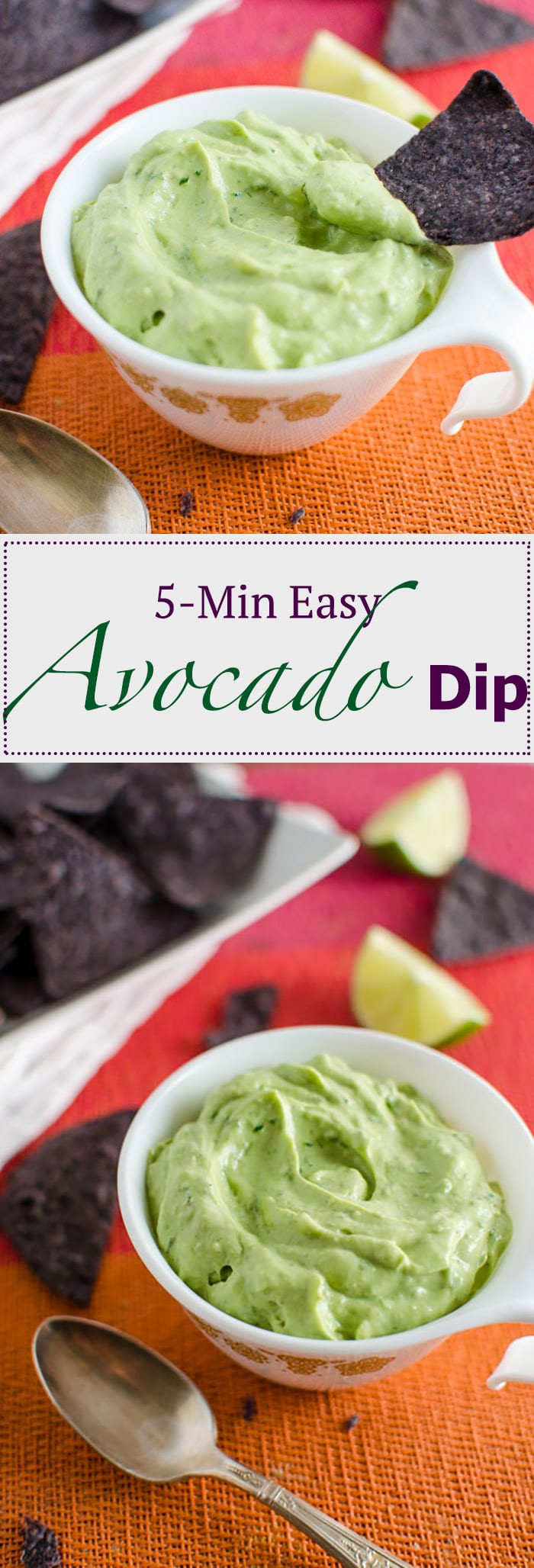 Avocado Recipes Dips
 5 Minute Easy Avocado Dip