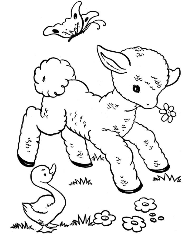 Baby Animal Coloring Sheets
 Kids Corner Veterinary Hospital Wexford wexford vets