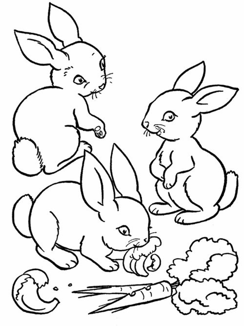 Baby Animal Coloring Sheets
 Baby Farm Animals Coloring Pages For Kids Disney