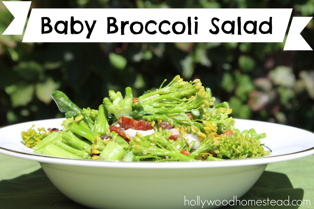 Baby Broccoli Recipes
 Baby Broccoli Salad Hollywood Homestead
