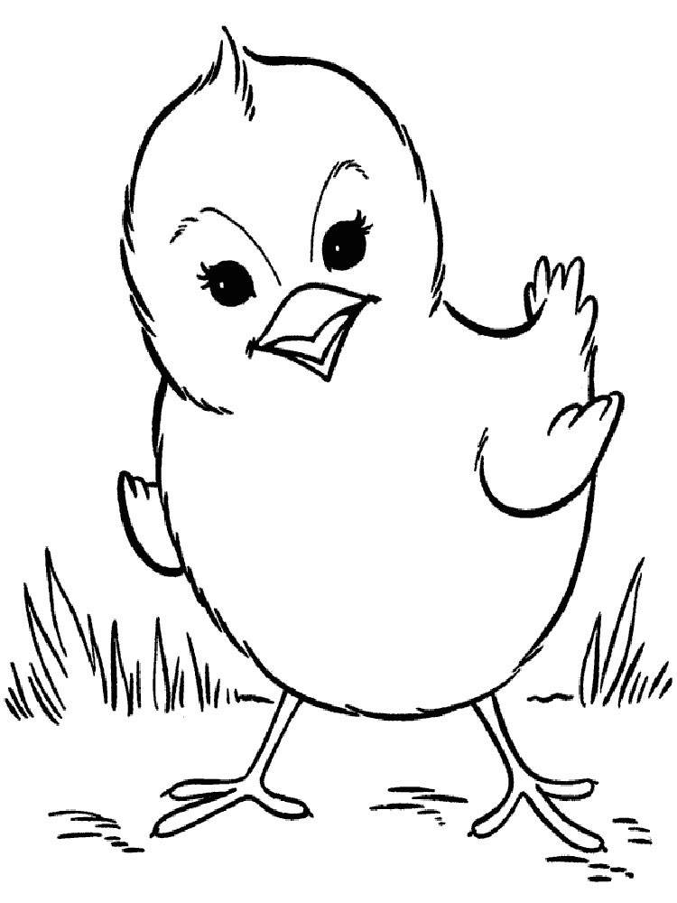 Baby Chick Coloring Page
 Baby Chick coloring pages Download and print Baby Chick