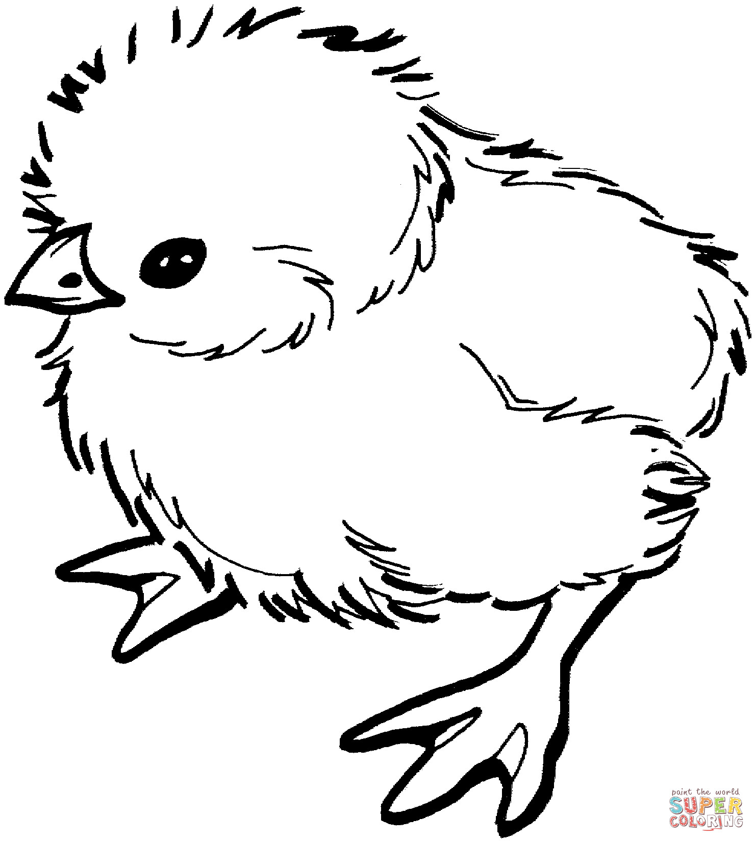 Baby Chick Coloring Page
 Baby chick coloring page