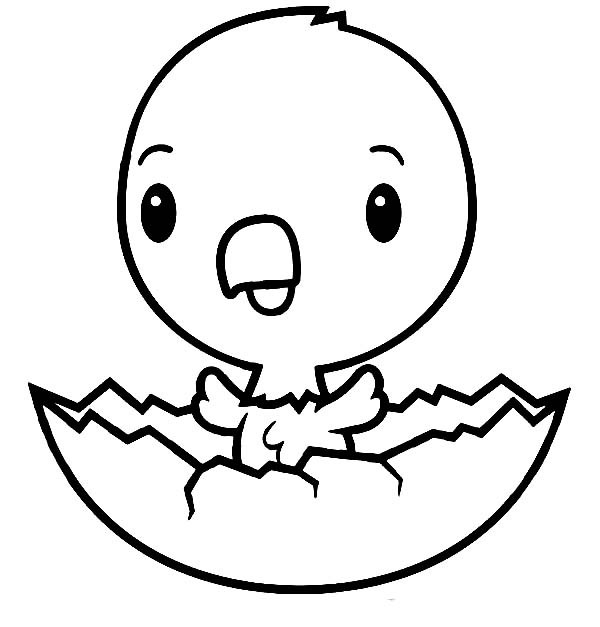 Baby Chick Coloring Page
 Chick Coloring Page Best Coloring Pages For Kids