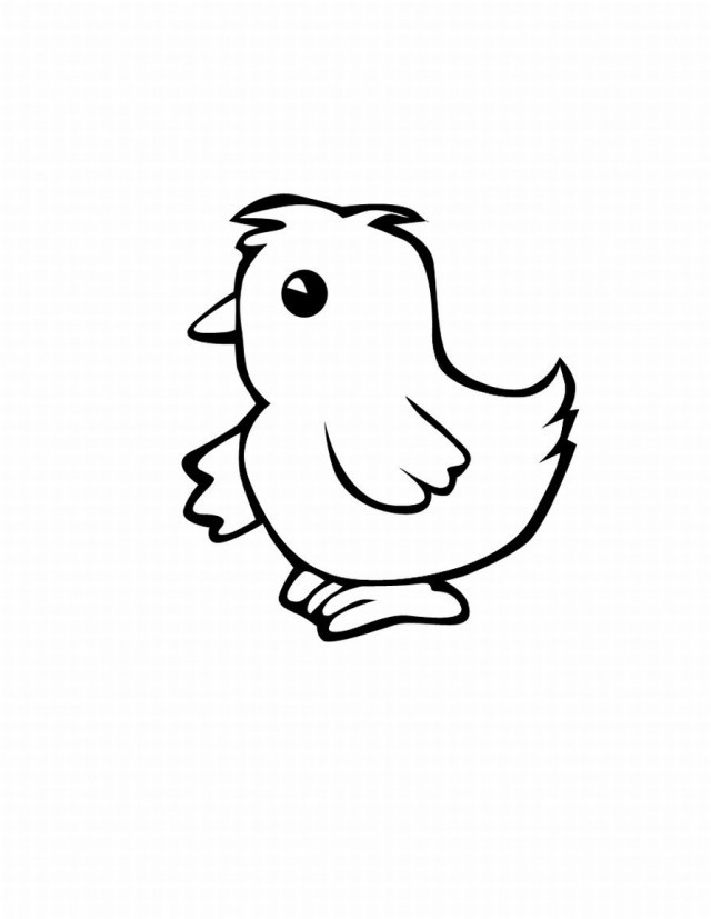 Baby Chick Coloring Page
 Free Chickens A Farm Download Free Clip