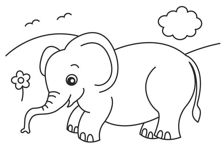 Baby Elephant Coloring Page
 Baby Elephant Coloring Pages Animal