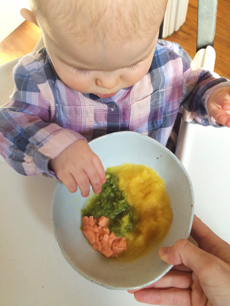 Baby Food Recipe Chicken
 Homemade Baby Food Chicken and Carrot Puree