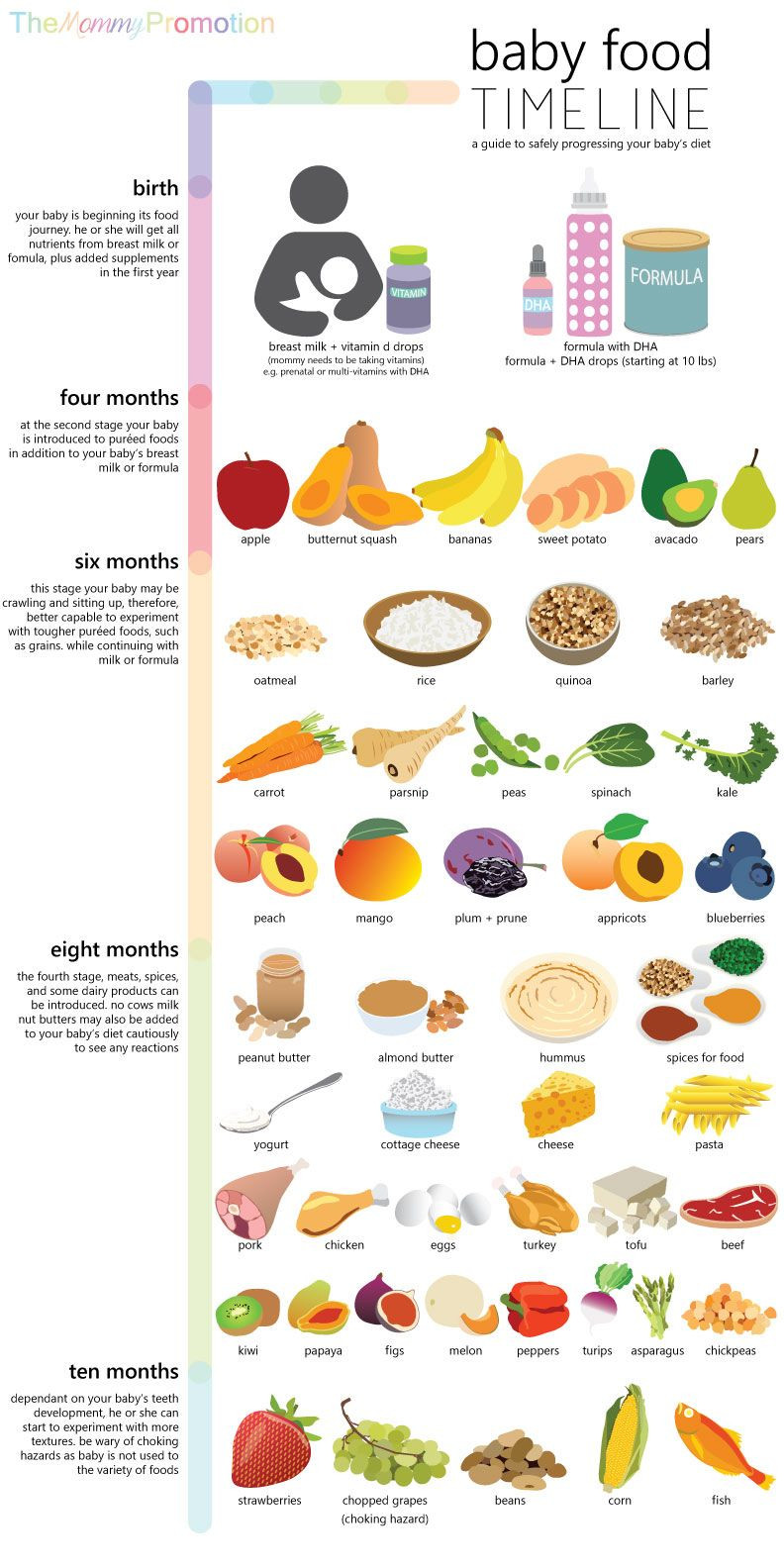 Baby Food Recipes 5 Months
 Baby Food Timeline Allowed Foods for Baby Birth to 10