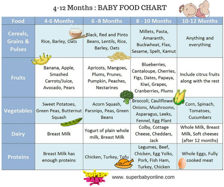 Baby Food Recipes 5 Months
 Indian Baby Food Chart 4 to 12 months with 45 recipes