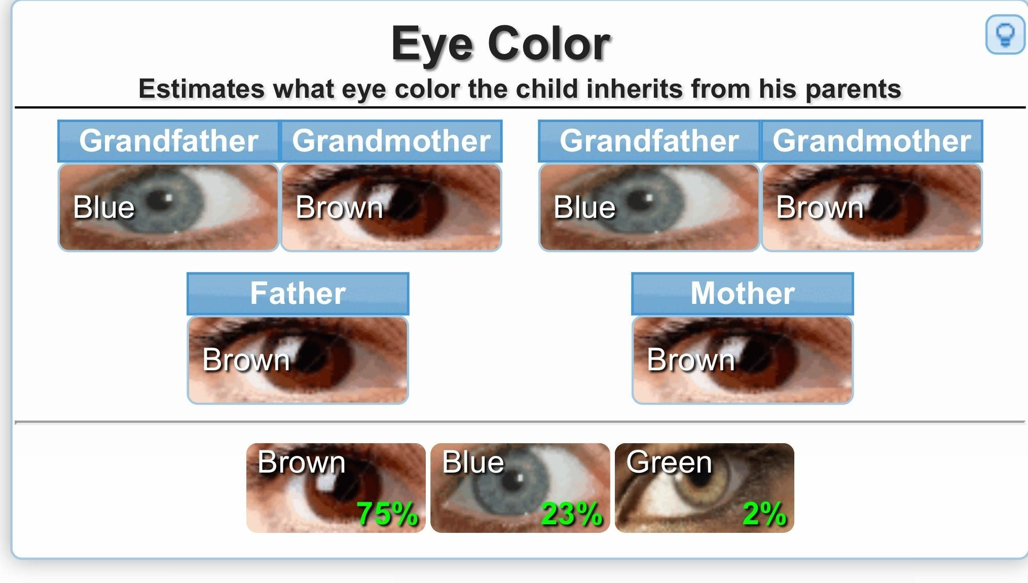 Baby Hair Predictor
 Eye Color Genetics Predictor