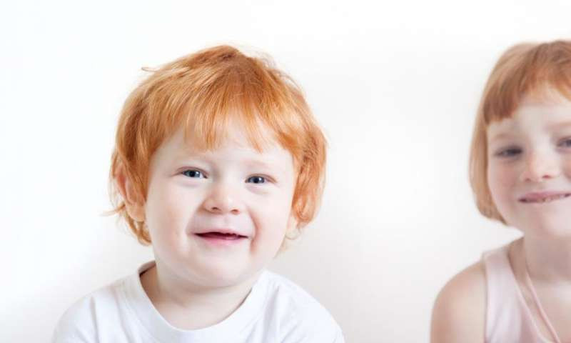 Baby Hair Predictor
 74 Baby Hair Color Predictor