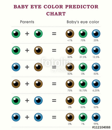 Baby Hair Predictor
 "Baby eye color predictor chart template" Stock image and