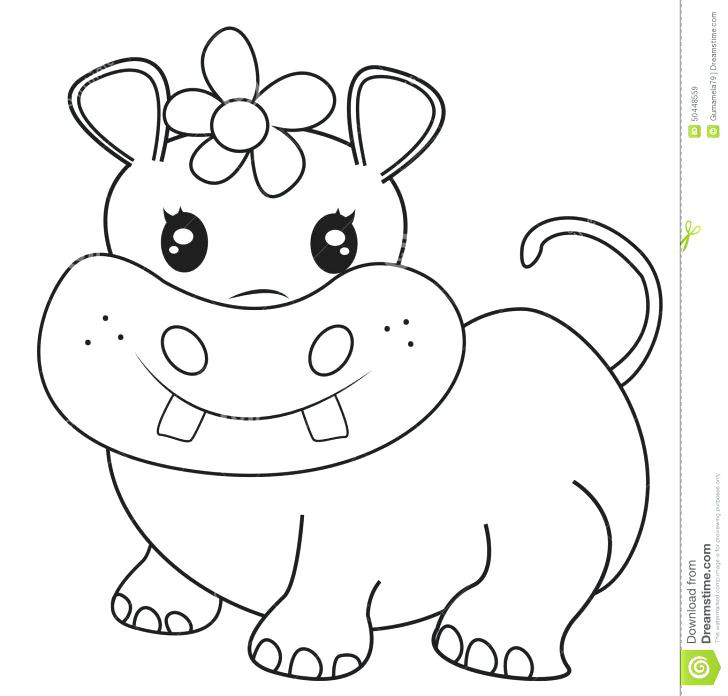 Baby Hippo Coloring Pages
 Cute Baby Hippo Pages Coloring Pages