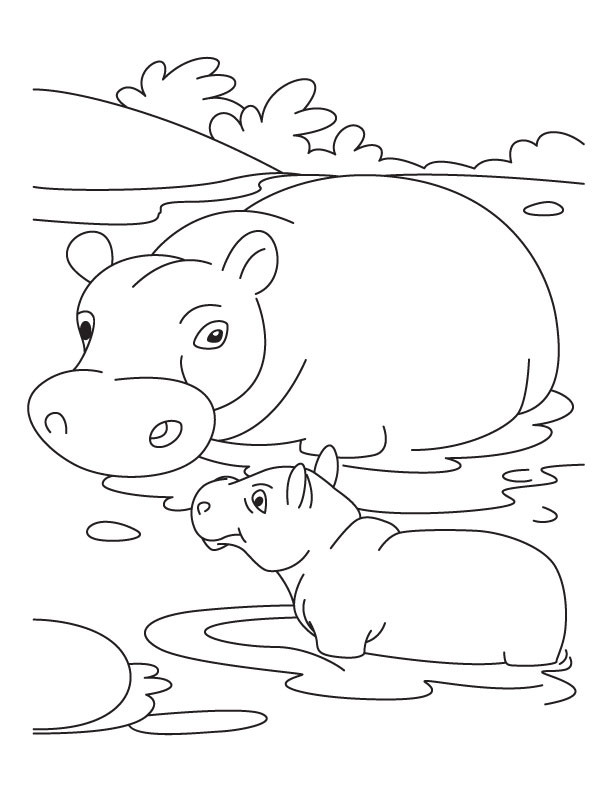 Baby Hippo Coloring Pages
 Baby Hippo Coloring Coloring Pages