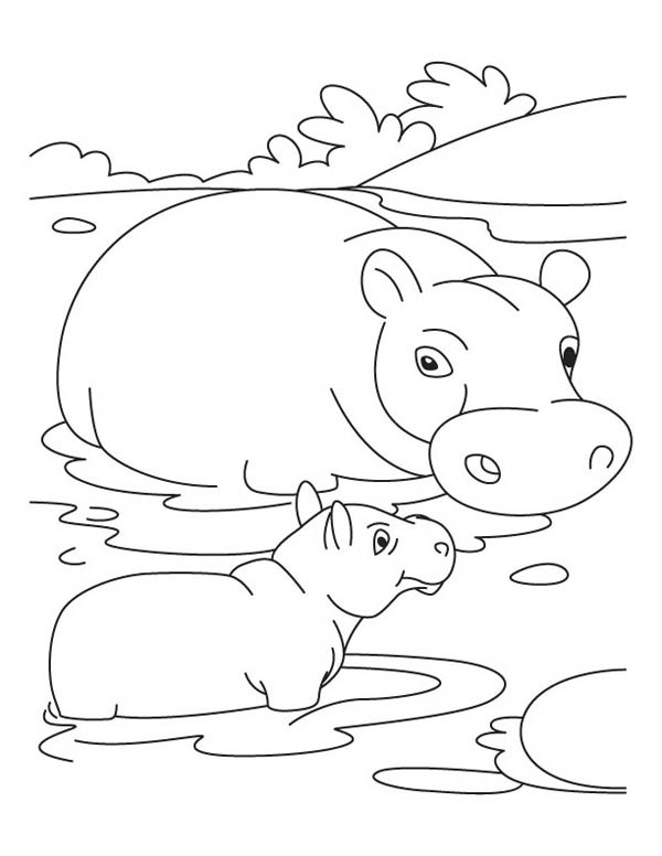 Best 21 Baby Hippo Coloring Pages - Home, Family, Style and Art Ideas