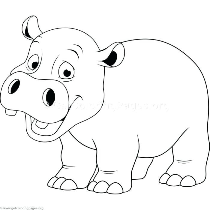 Baby Hippo Coloring Pages
 Hippo Outline Drawing at GetDrawings