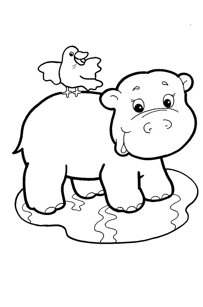 Baby Hippo Coloring Pages
 Baby Hippo Coloring Coloring Pages