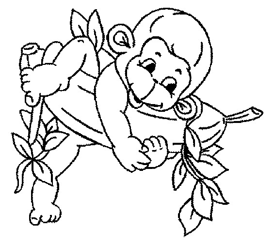 Baby Monkeys Coloring Pages
 7 Free Baby Monkey Coloring For Drawing by Kids