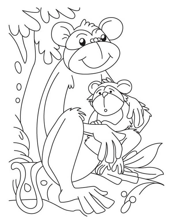 Baby Monkeys Coloring Pages
 Baby Monkey And Its Mom Coloring Page Download & Print