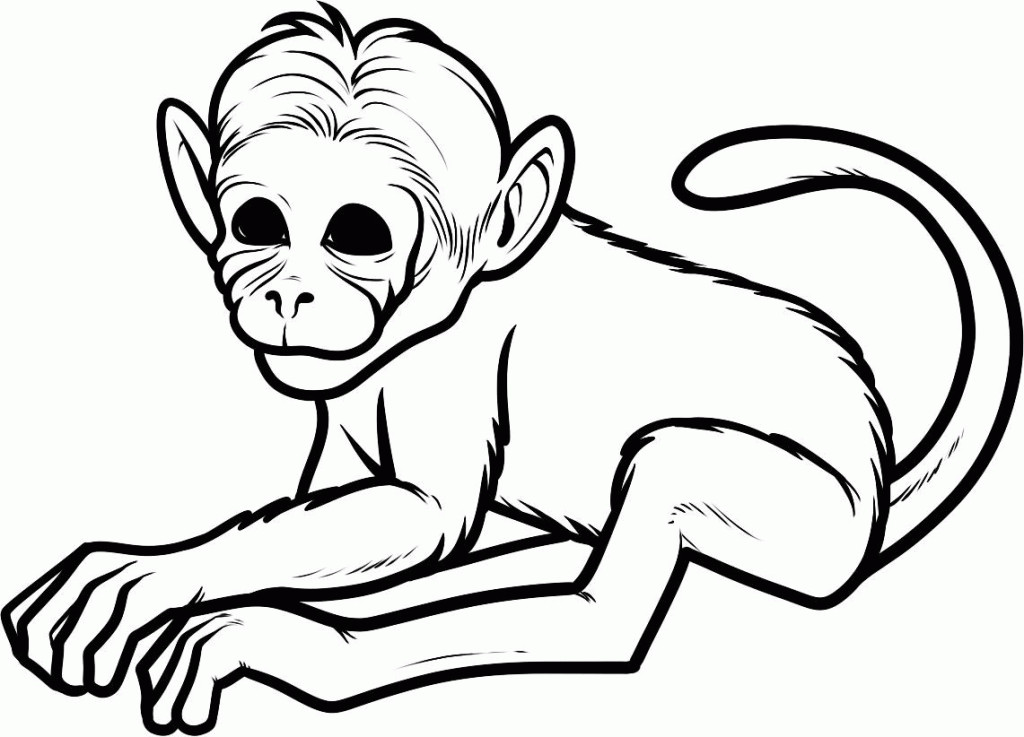 Baby Monkeys Coloring Pages
 Baby Monkey Coloring Pages Coloring Home