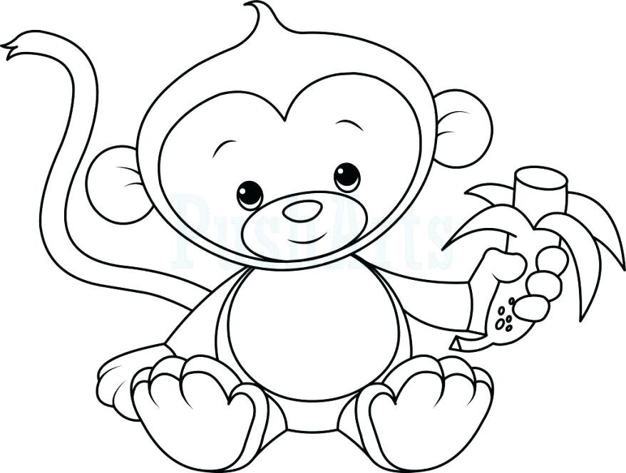 Baby Monkeys Coloring Pages
 Monkeys Coloring Pages Kidsuki