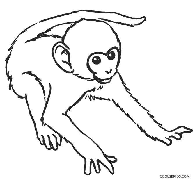 Baby Monkeys Coloring Pages
 Free Printable Monkey Coloring Pages for Kids