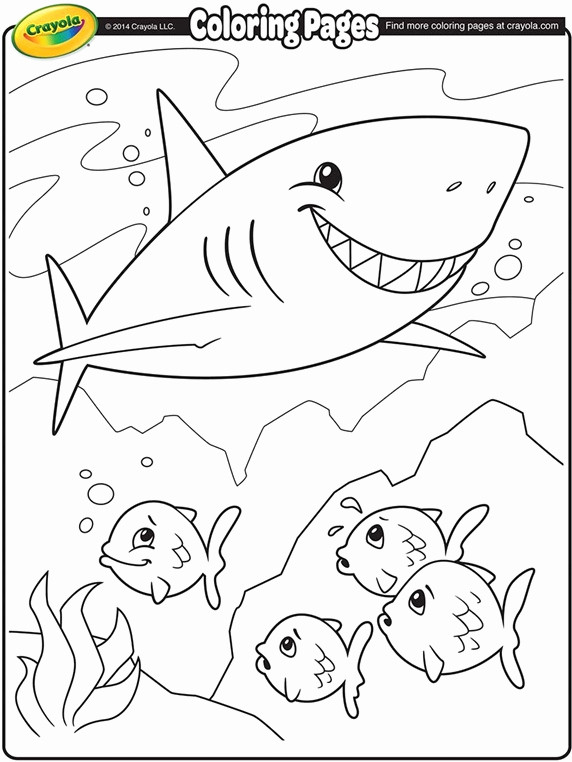 Baby Shark Coloring Pages Printable
 Baby Shark Coloring Pages at GetColorings
