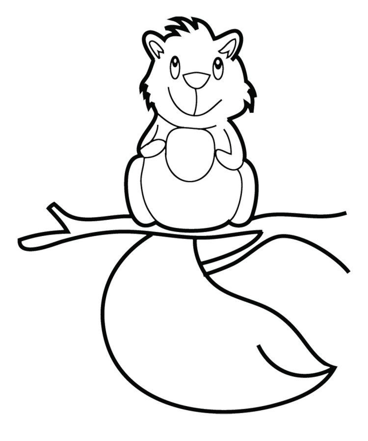 Baby Squirrel Coloring Pages
 Cute Baby Squirrel Coloring Pages