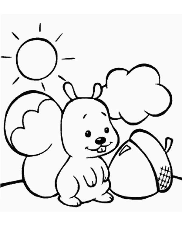 Baby Squirrel Coloring Pages
 Cute Baby Squirrel Clipart