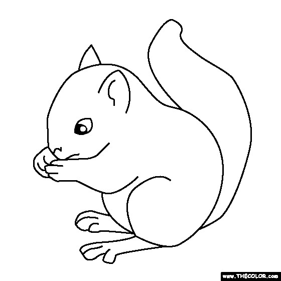 Baby Squirrel Coloring Pages
 Free line Coloring Pages TheColor