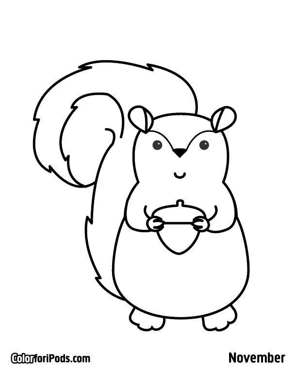 Baby Squirrel Coloring Pages
 Pin auf squirrel eichörnchen