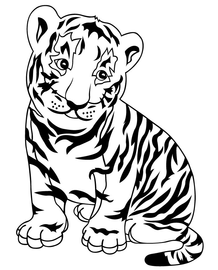 Baby Tiger Coloring Pages
 Baby White Tiger Drawing at GetDrawings