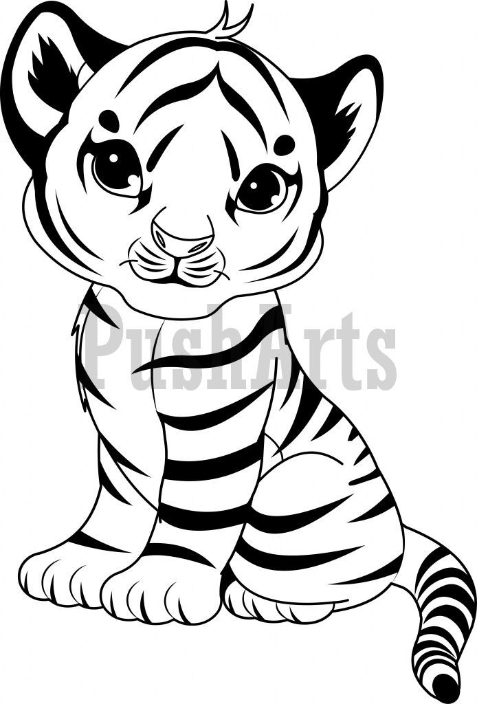Baby Tiger Coloring Pages
 coloring pages of cute baby tigers Google Search