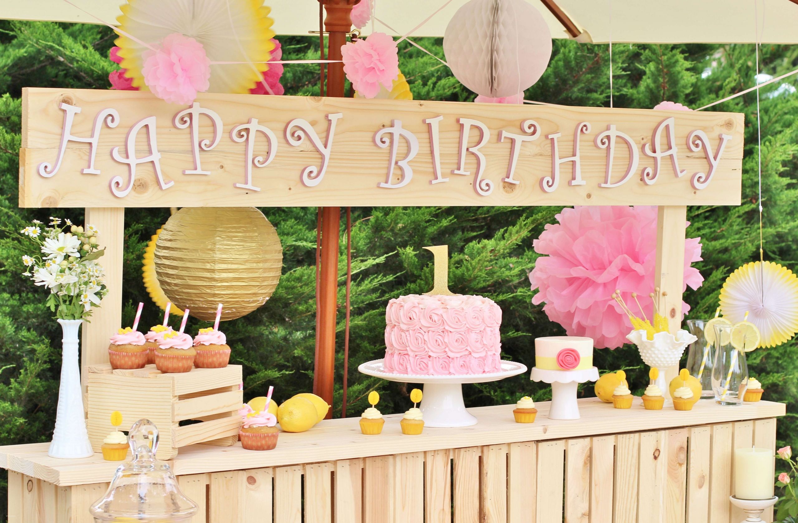 Backyard 1St Birthday Party Ideas
 Luxury 1st Birthday Party Backyard Creative Maxx Ideas