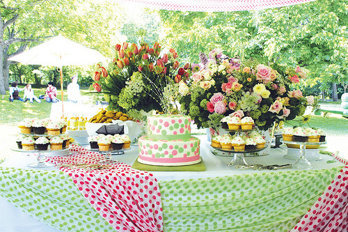 Backyard Birthday Party Ideas For Adults
 Backyard party themes for adults