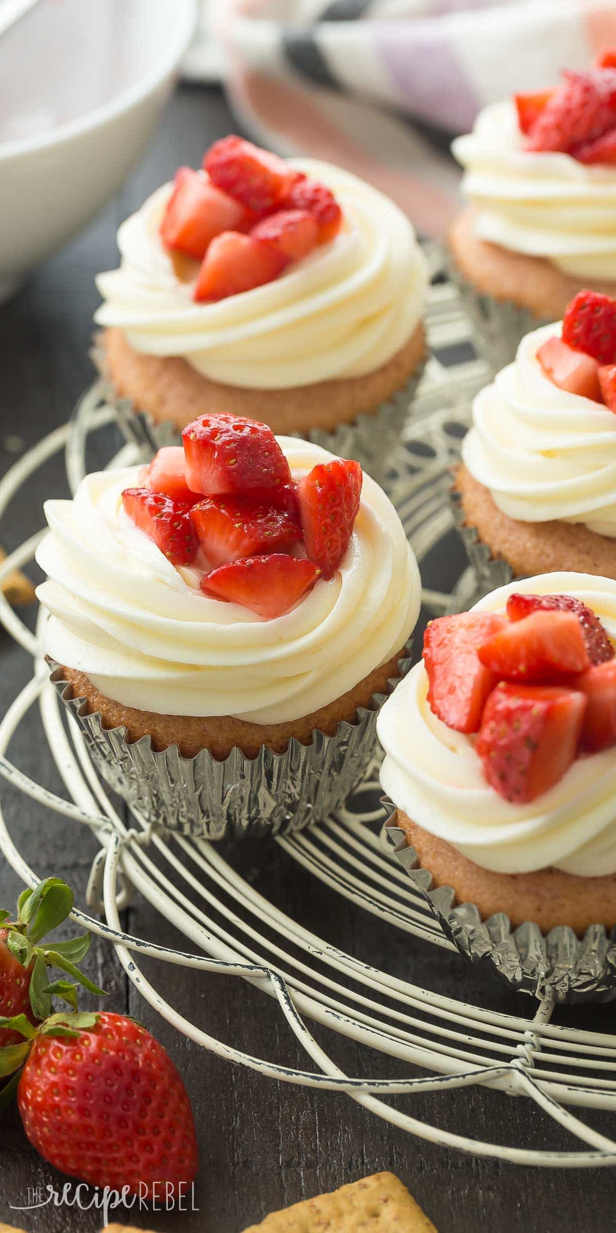 Bakery Cake Recipes
 Strawberry Cheesecake Cupcakes Recipe VIDEO