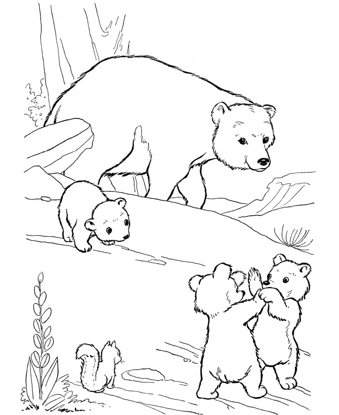 Bear Coloring Pages For Kids
 Free Printable Bear Coloring Pages For Kids