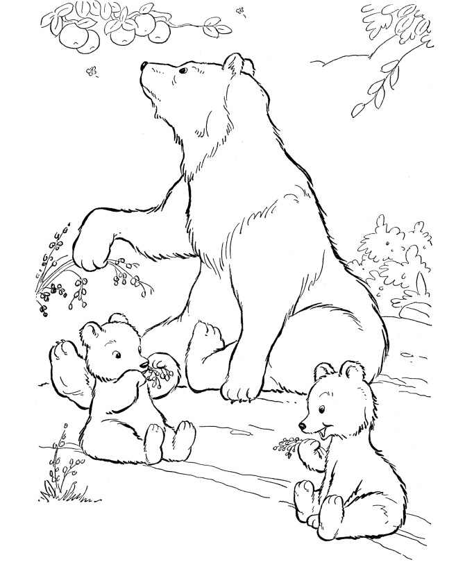 Bear Coloring Pages For Kids
 Free Printable Polar Bear Coloring Pages For Kids