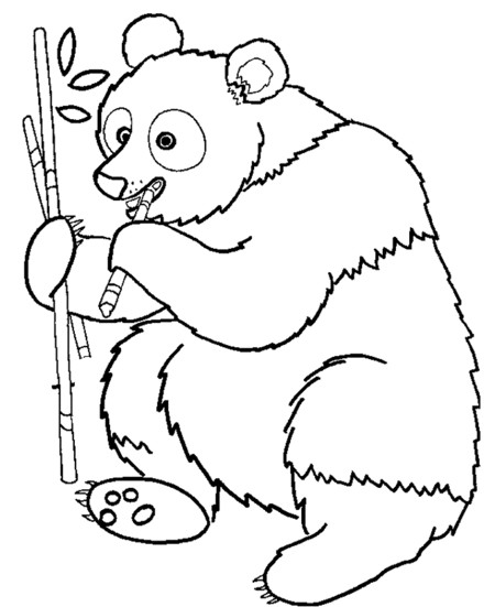 Bear Coloring Pages For Kids
 Cute Panda Bear Coloring Pages for Kids Disney Coloring