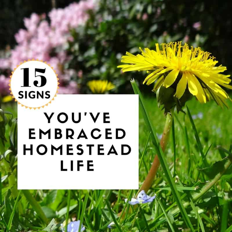 Beautiful Nails Homestead
 15 Signs You ve Embraced Homestead Life