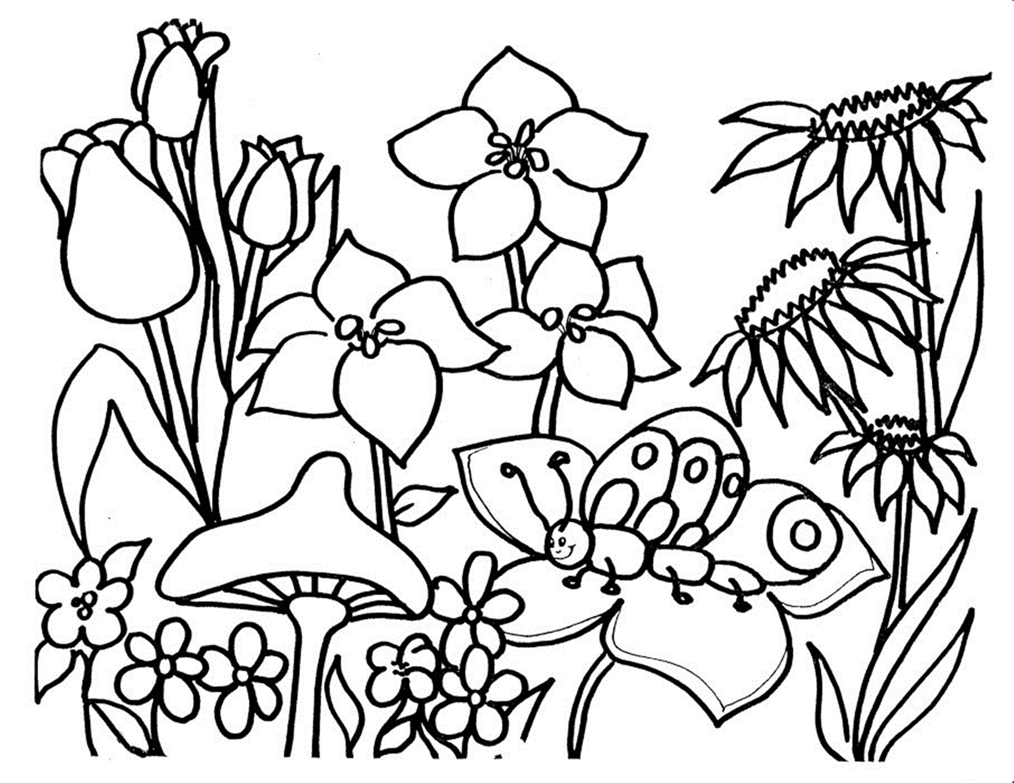 Best Coloring Books For Toddlers
 Free Printable Flower Coloring Pages For Kids Best